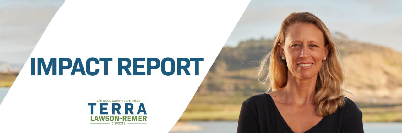 Cover of Report
